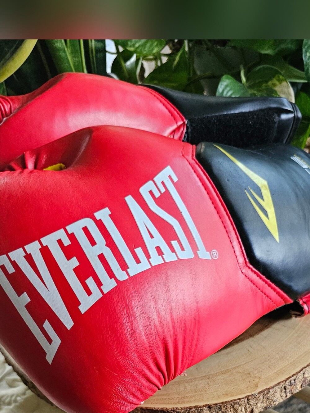 Everlast Elite With Evershield LG 14 Oz Red Black Boxing Gloves Nice!